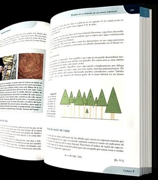 REPOBLACIONES FORESTALES. ARBOLES. PLANTAS.