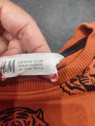 Maglioncino H&M Tigri Arancione 5/6 Anni