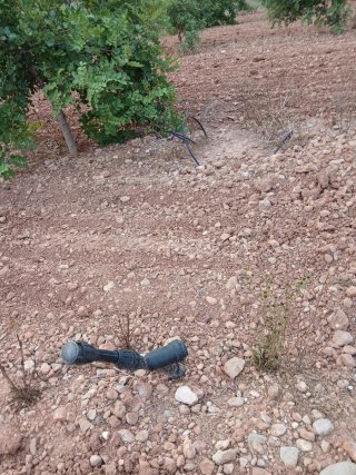 Campo de Algarrobos