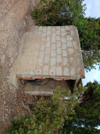 Campo de Algarrobos