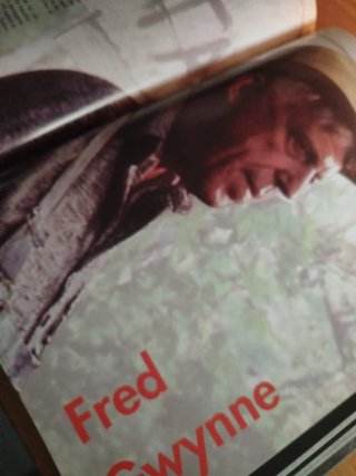 Stephen King Film Collection