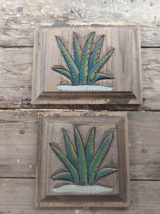 2 Tablas Decorativas Planta Agave