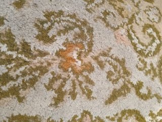 2 Alfombras 100% Lana Beige y Verde