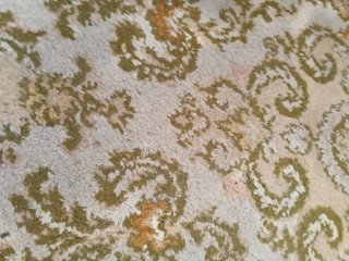 2 Alfombras 100% Lana Beige y Verde