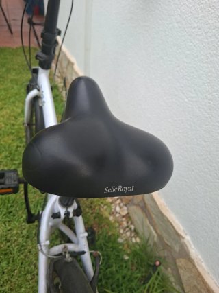 Bicicleta Plegable