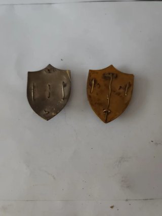 2 Insignias Milicias Universitarias