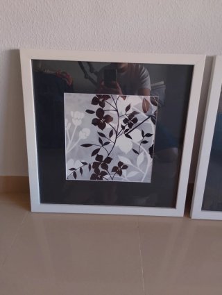 Set 2 Cuadros Florales 50x50 cm. Madera y cristal
