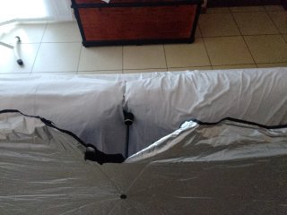 Parasole auto