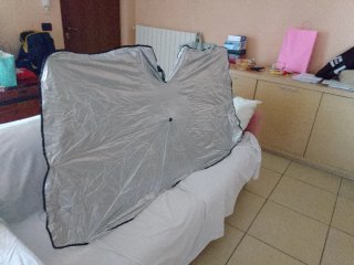 Parasole auto