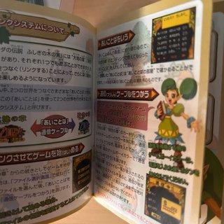 Zelda Oracle of Seasons Nintendo Game Boy Color