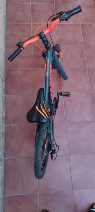 Bicicleta infantil da montagna con ruote da 20 pollici