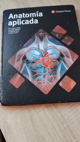 Anatomía