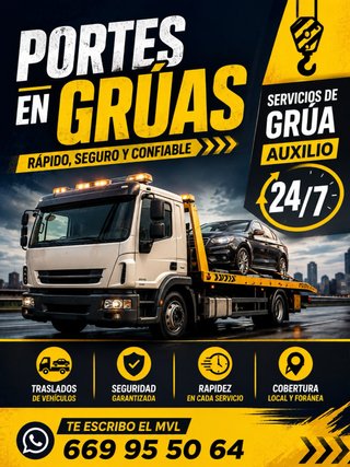 Servicio grua portacoches