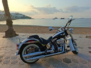 Harley-Davidson  Negra y blanca Softaill de Luxe,