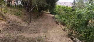 Jardinier Lloret de Mar