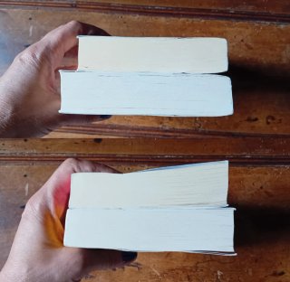Anne Holt 2 libri