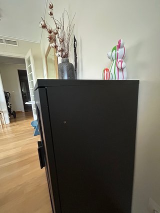 Alacena Negra con Puertas de Cristal