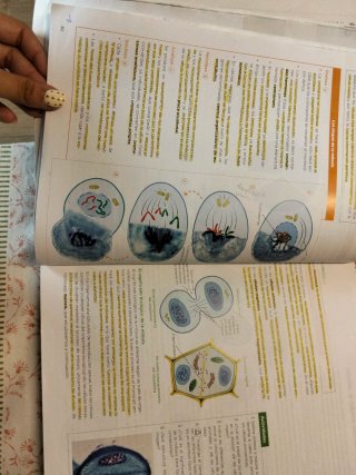 Biología, Geología y Ciencias Ambientales 1 Bac...