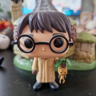 Funko Pop! Harry Potter
