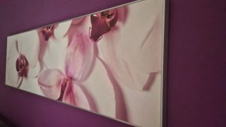 Cuadro Decorativo Flores Orquídeas
