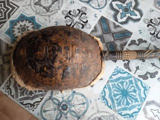 Gimbri o Guembri laud tradicional africano