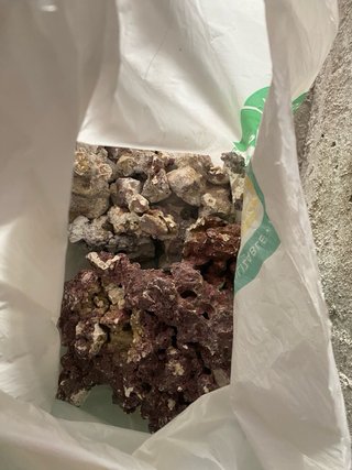 Roca Real Reef 12 kg
