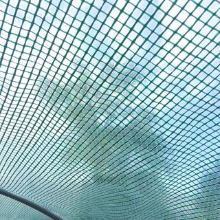 Invernadero de Jardín a Túnel con Puerta y 8 Ventanas, Invernadero de Jardín en PE y Metal Galvanizado, para Cultivo de Plantas, 600X300X200Cm