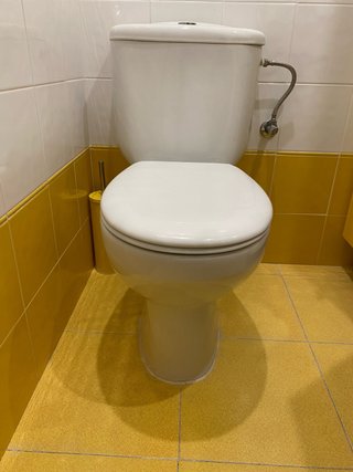 Inodoro blanco de porcelana