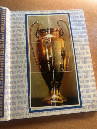 El libro de los campeones de europa