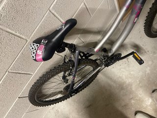 Bicicleta de montaña plateada y rosa