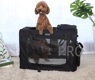 Transportín para gatos y perros plegable
