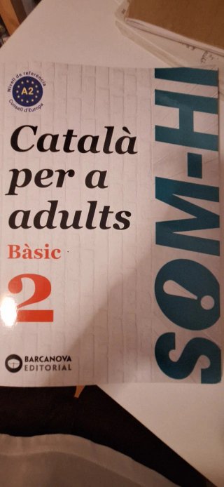 Som-hi català per a adults. Bàsic 2