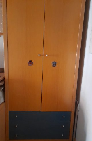 Armario (chapado de madera)
