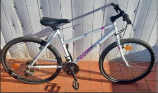 Se vende Bicicleta btwin