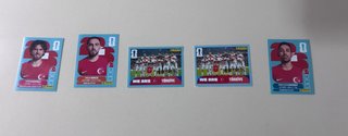 Panini Turquía