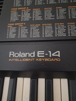 Teclado Roland E-14 Inteligente Solo en efectivo