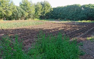 Casa rural en alquiler en Pobla (Sa)