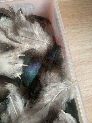 60 plumas decorativas