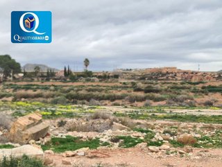Terreno en venta en Novelda