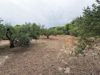 Solar en venta en Albaida