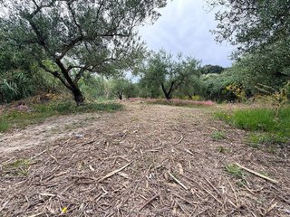 Solar en venta en Albaida