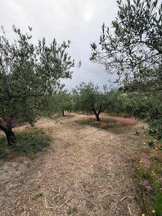 Solar en venta en Albaida
