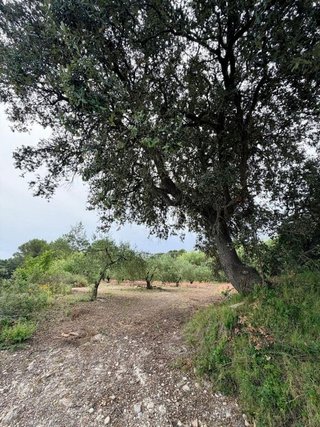 Solar en venta en Albaida
