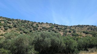 Terreno en venta en El Port en Llançà