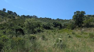 Terreno en venta en El Port en Llançà
