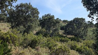 Terreno en venta en El Port en Llançà