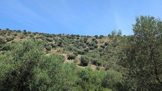 Terreno en venta en El Port en Llançà