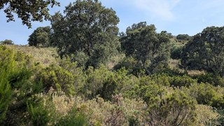 Terreno en venta en El Port en Llançà