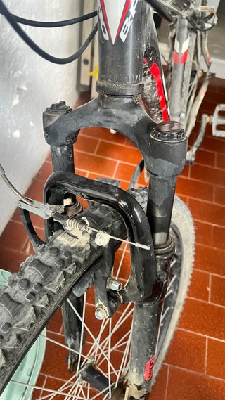 Bicicleta B-Pro M100