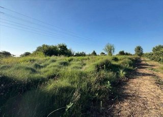 Terreno en venta en Albal